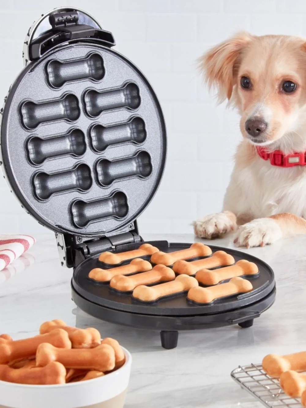 Dash Dog Treat Maker *NIB*